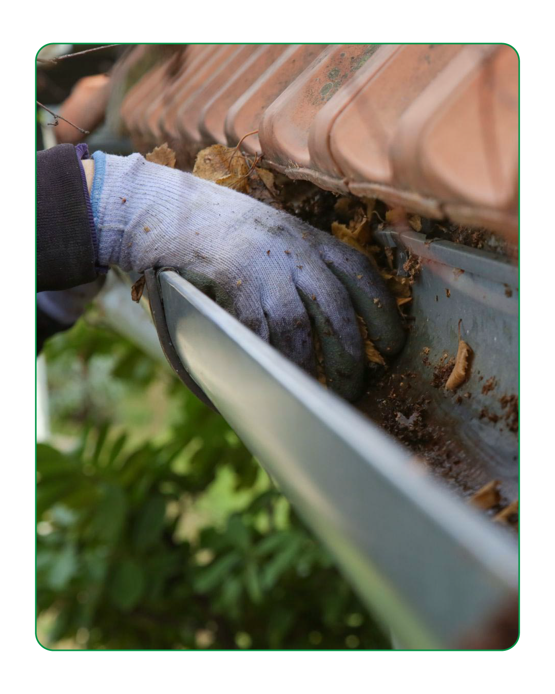 Roof Cleaning Adelaide