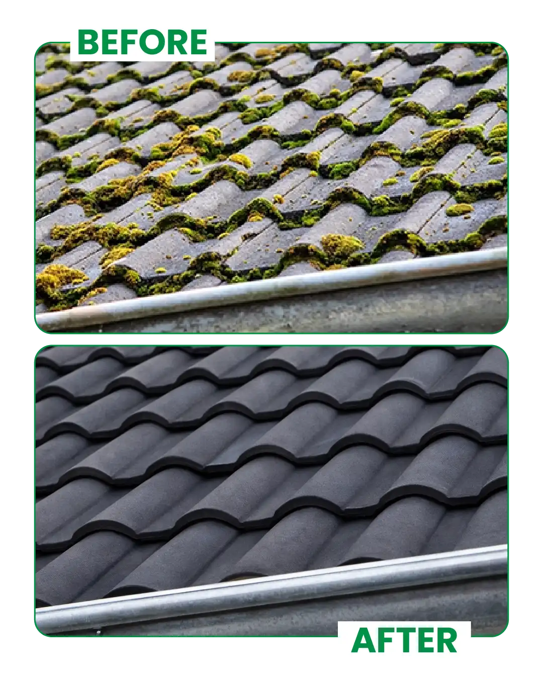 Tile Roof Cleaning