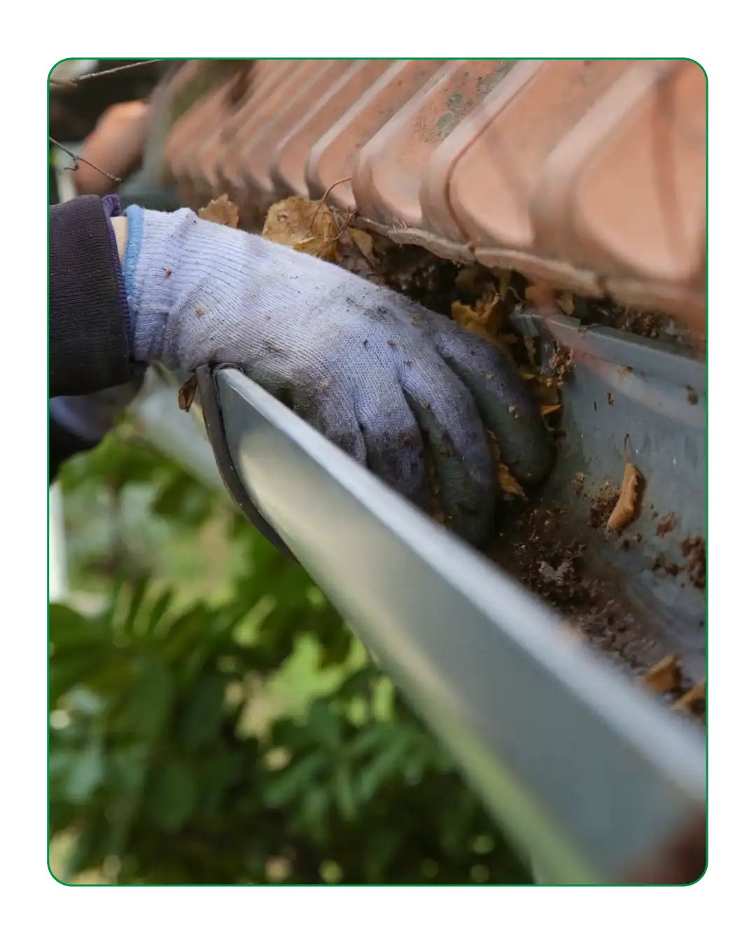 Roof Cleaning Adelaide