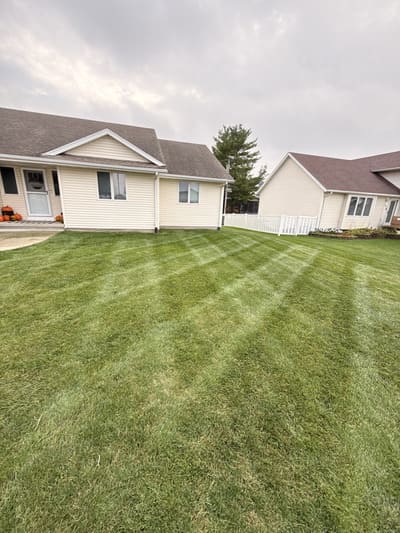 {{ custom_values.service_3 }} in {{custom_values.area_3})