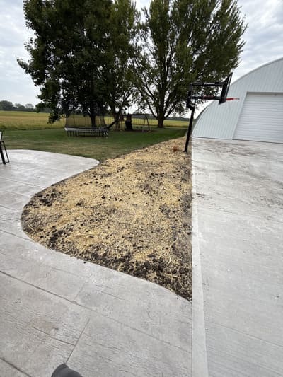 Junk removal in Webster city