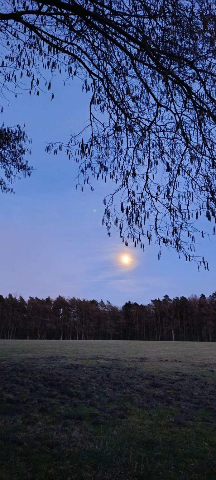 Vollmond über einer ruhigen Landschaft mit Bäumen – Symbol für Wandel, Zwischenzeit und innere Prozesse im März Vollmond über einer ruhigen Landschaft mit Bäumen – Symbol für Wandel, Zwischenzeit und innere Prozesse im März