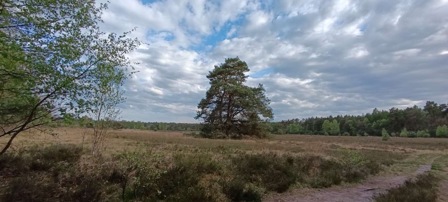 Wetterumschwung sichtbar am Himmel über der Heide Wetterumschwung sichtbar am Himmel über der Heide