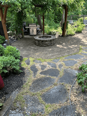 {{ custom_values.service_1 }} in {{custom_values.area_2})