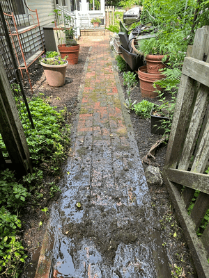 {{ custom_values.service_3 }} in {{custom_values.area_2})