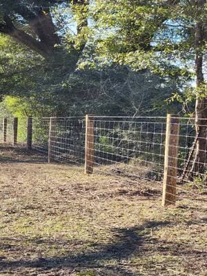 {{ custom_values.service_3 }} in {{custom_values.area_3})