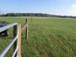 {{ custom_values.service_3 }} in {{custom_values.area_2})