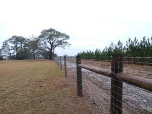 {{ custom_values.service_3 }} in {{custom_values.area_2})