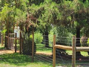 {{ custom_values.service_1 }} in {{custom_values.area_1})