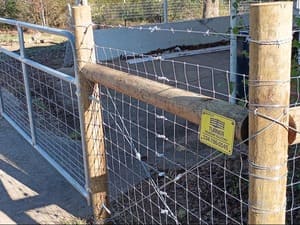 {{ custom_values.service_2 }} in {{custom_values.area_2})