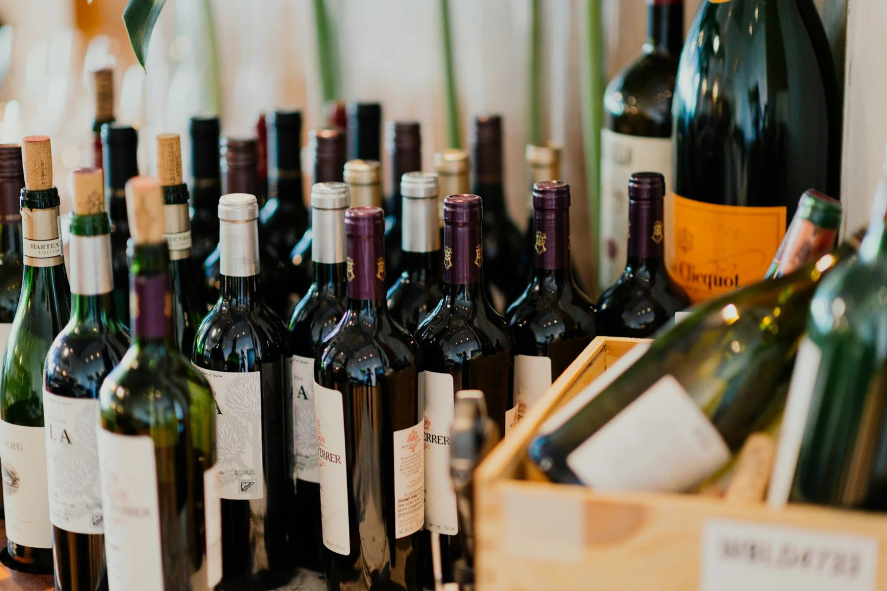 An elegant array of premium red and white wine bottles curated for a professional wedding bar service or reception in Portland, Maine.