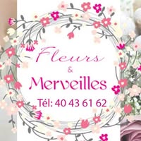 Logo Fleurs et Merveilles