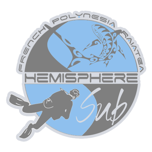 Logo Hemisphere Sub