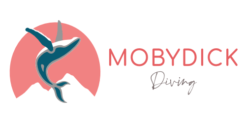 Logo Mobydick Tahiti