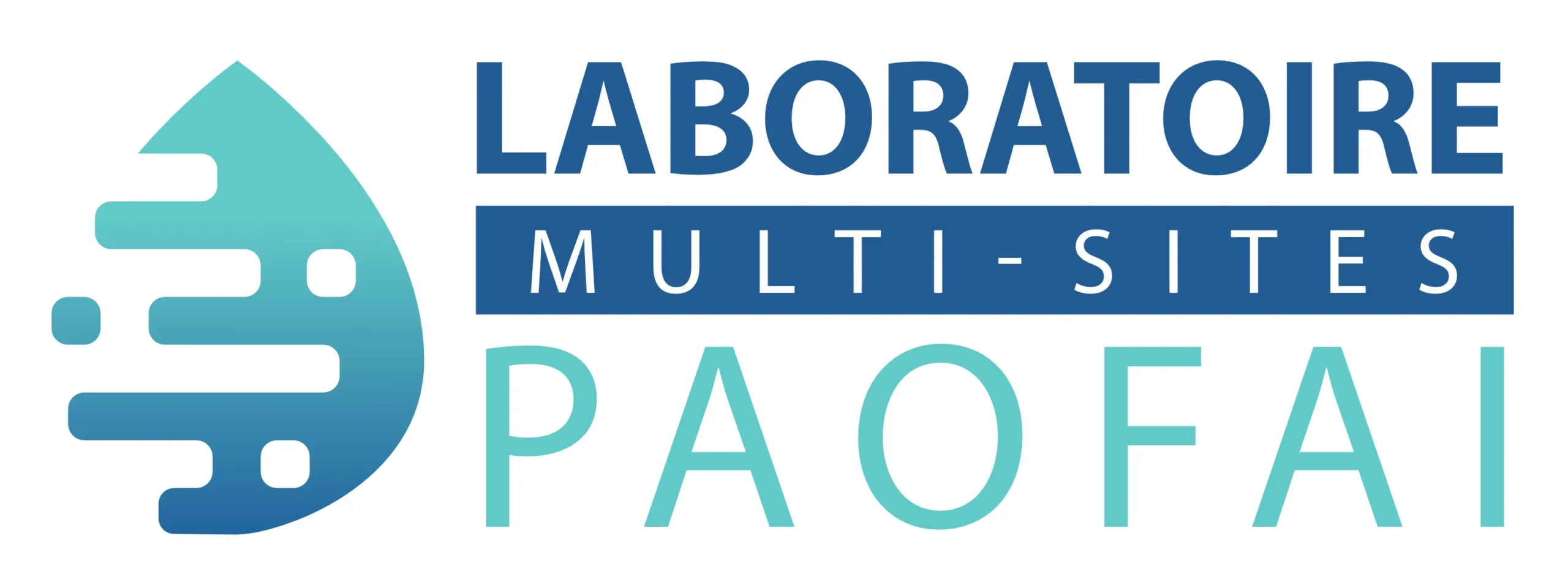 Logo Laboratoire de Nahoata