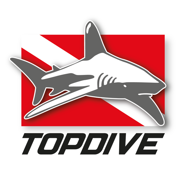 Logo TOPDIVE Moorea