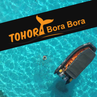 Logo Tohora Bora Bora