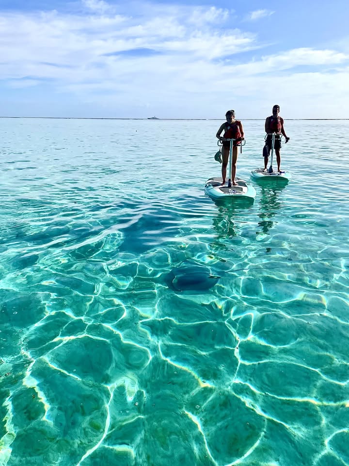Logo Vélo-Paddle Miti Moorea