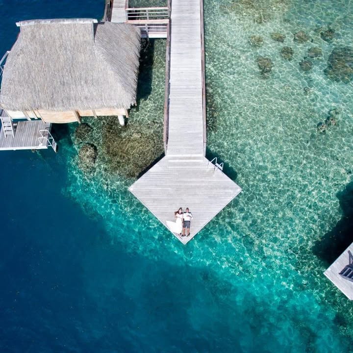 Logo Moorea Photographer, Videographer & Drone