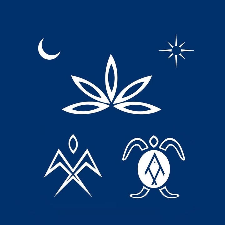 Logo Raiatea Excursion