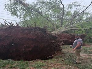 {{ custom_values.service_1 }} in {{custom_values.area_7})