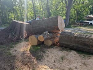 {{ custom_values.service_1 }} in {{custom_values.area_6})