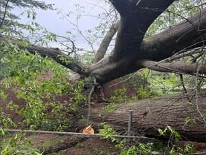 {{ custom_values.service_4 }} in {{custom_values.area_6})