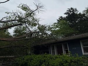 {{ custom_values.service_2 }} in {{custom_values.area_7})