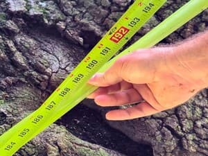 {{ custom_values.service_2 }} in {{custom_values.area_2})