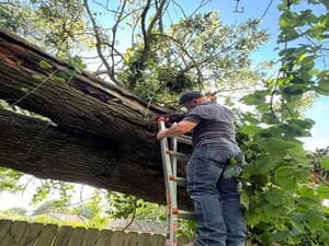 Siding in Springfield