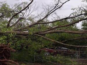 {{ custom_values.service_3 }} in {{custom_values.area_7})