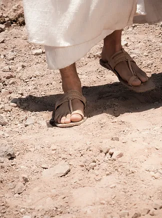 The Feet