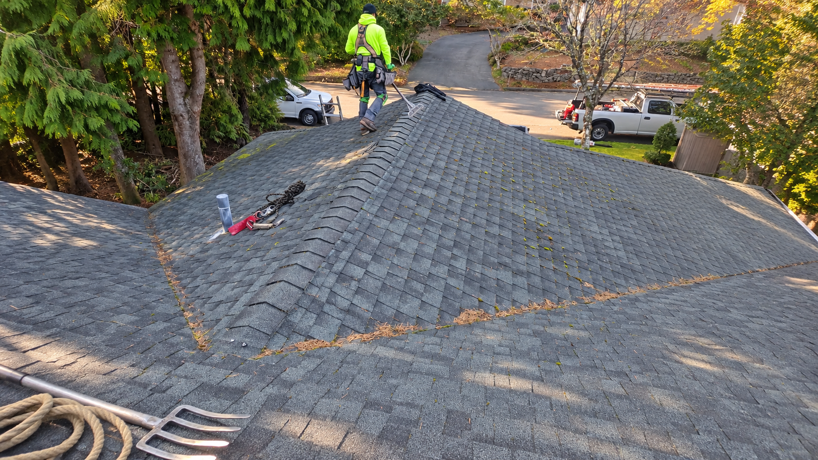 Moss removal and roof cleaning