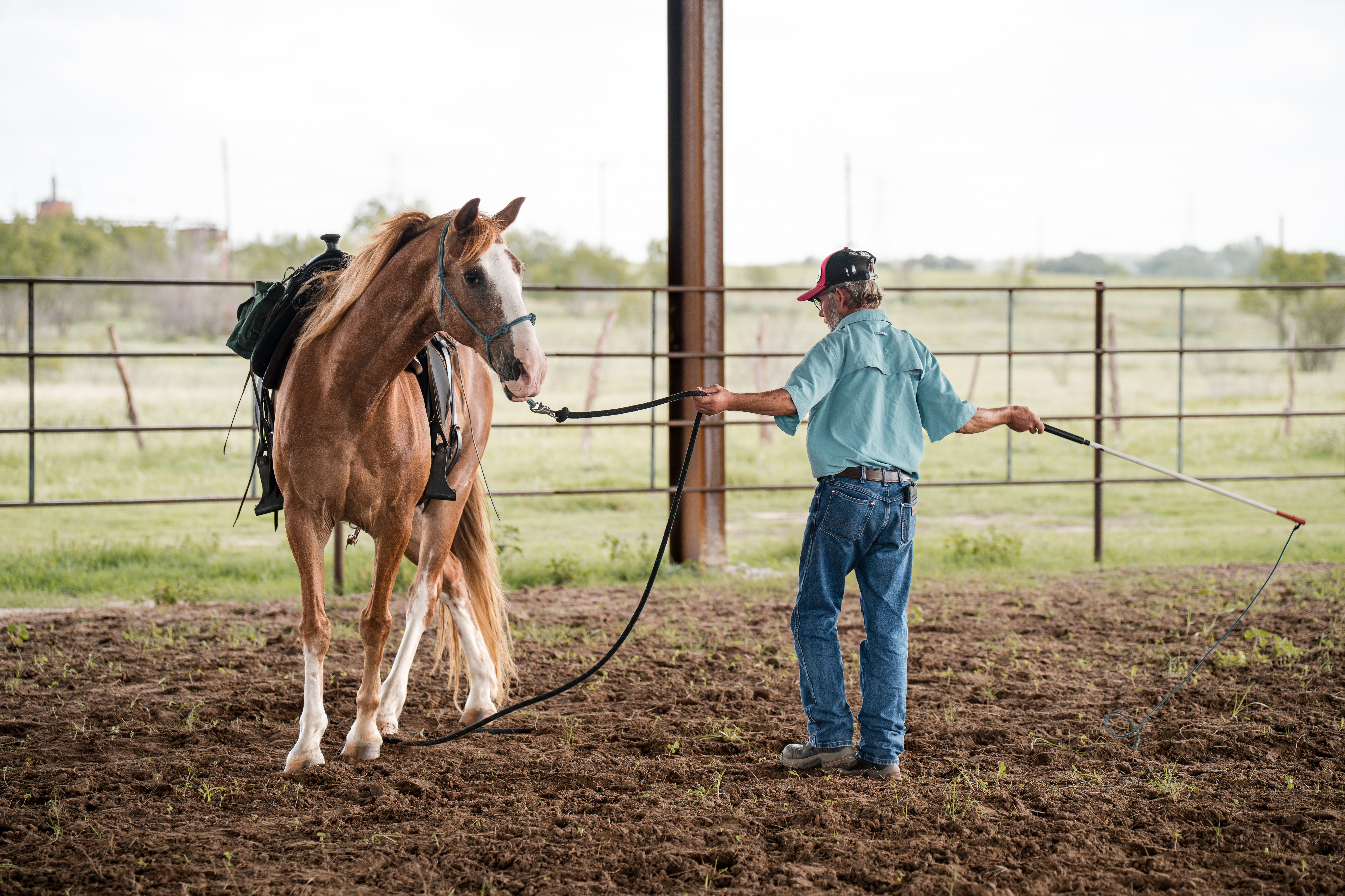 Effective Groundwork in Seguin, Texas