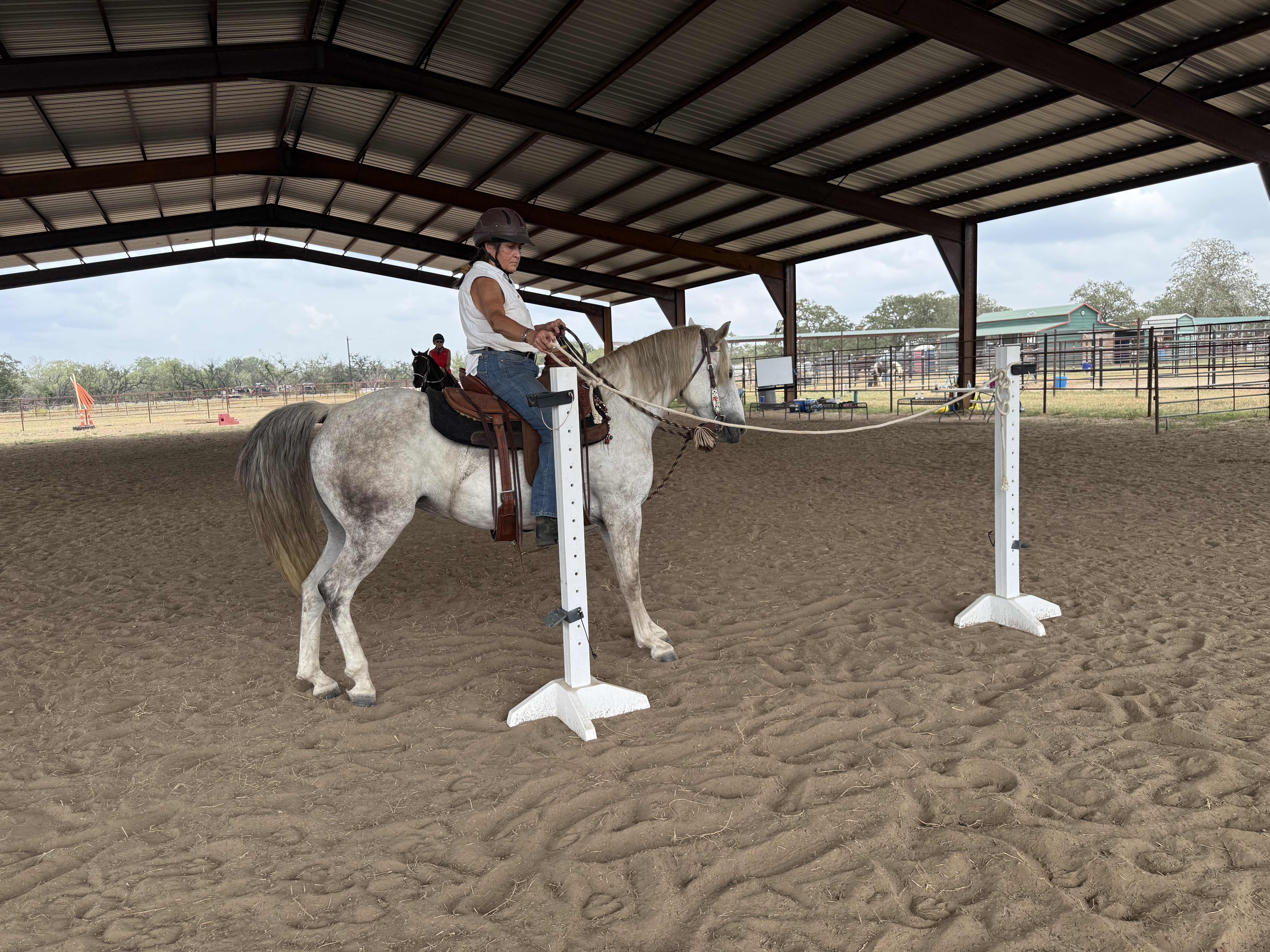 3-Day Bond Building Clinic at Grace Ranch