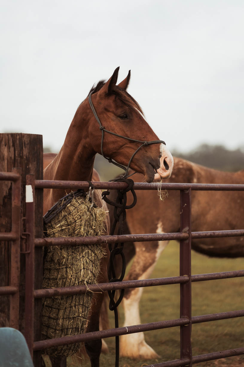 Bond Building Workshop