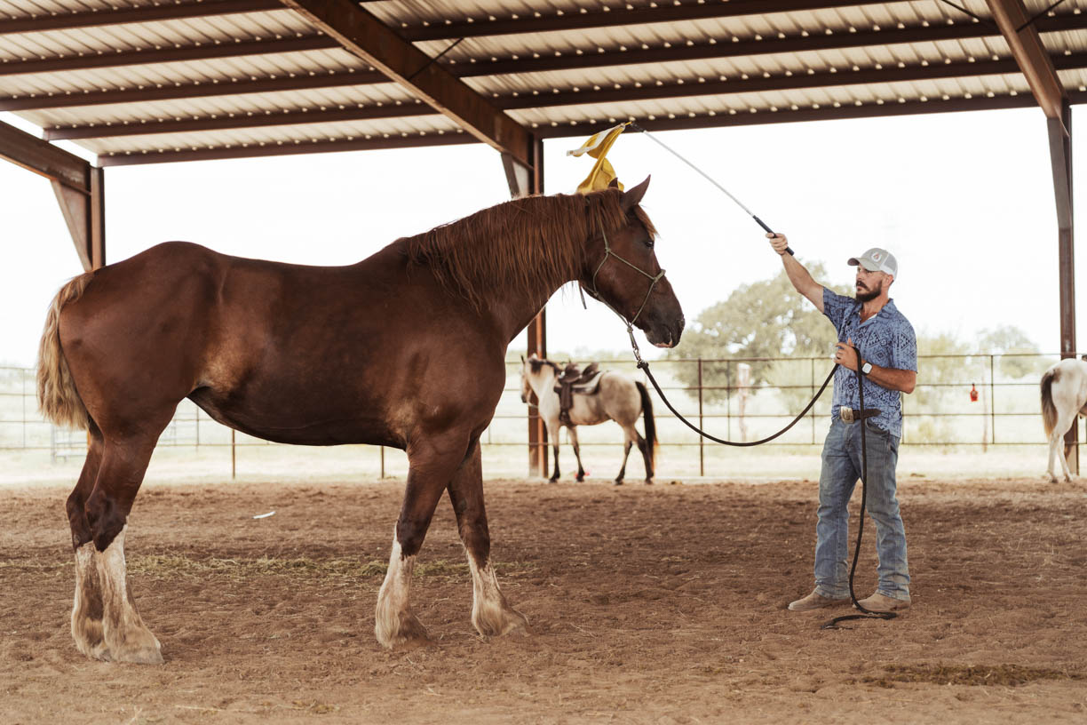 Desensitizing Clinic at Grace Ranch