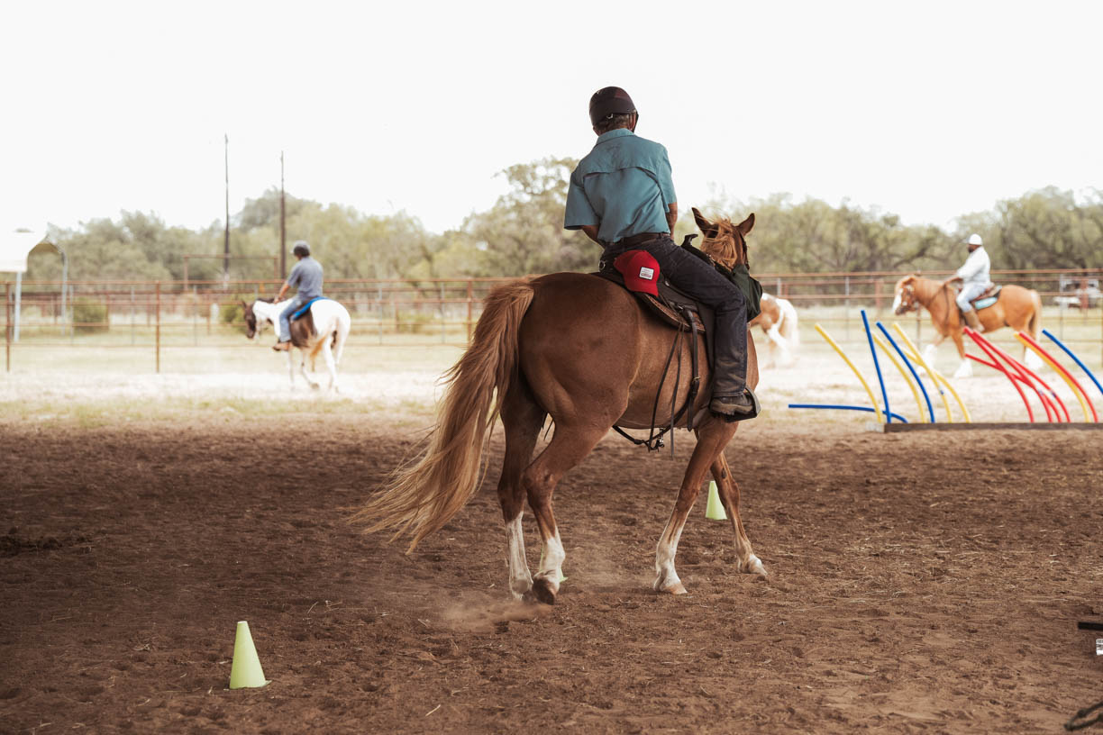 Desensitizing Clinic at Grace Ranch