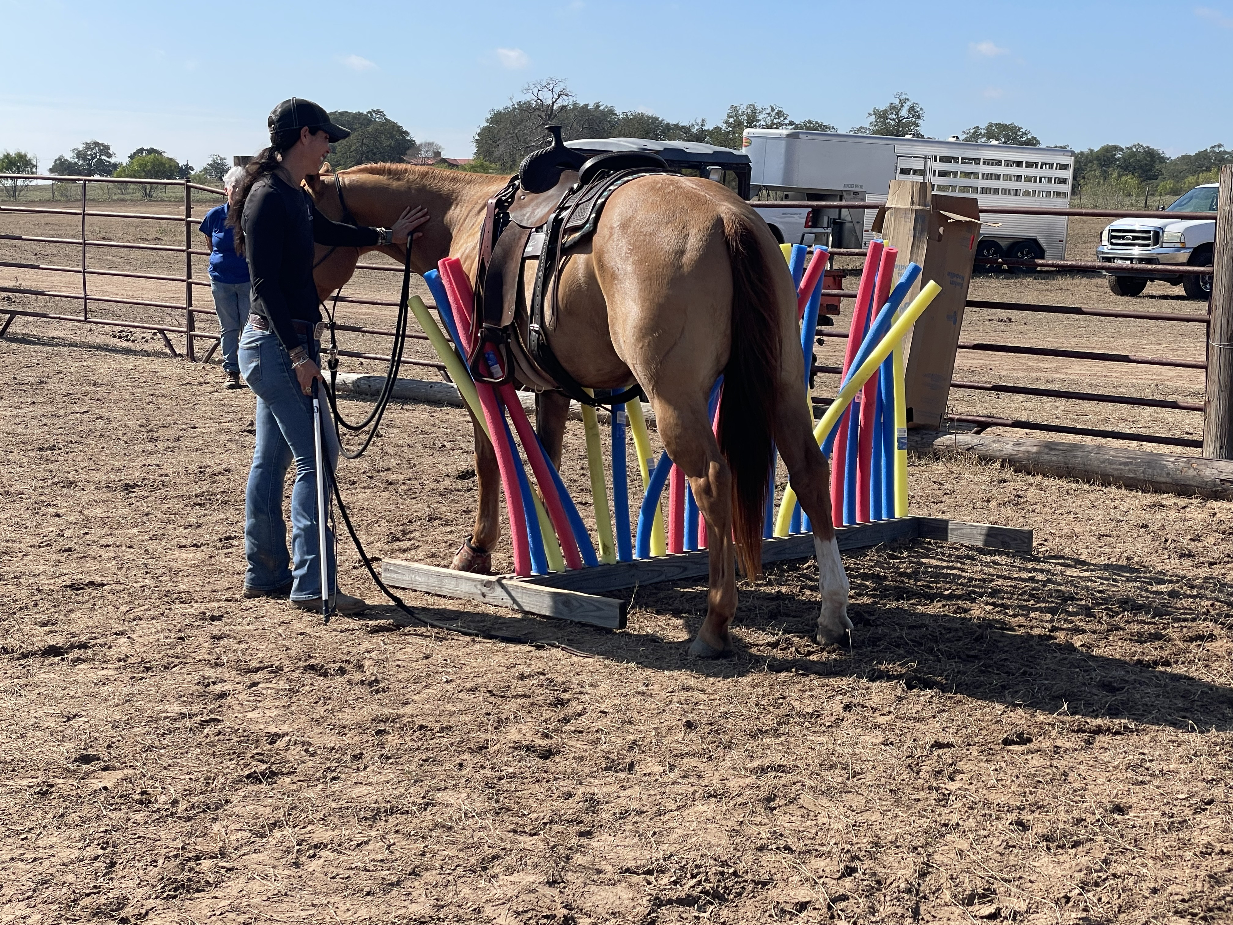 Desensitizing Clinic at Grace Ranch