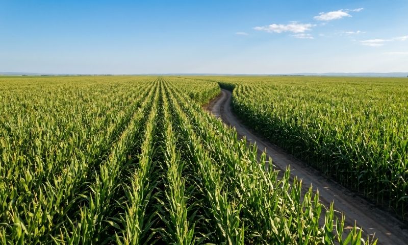 Land banking