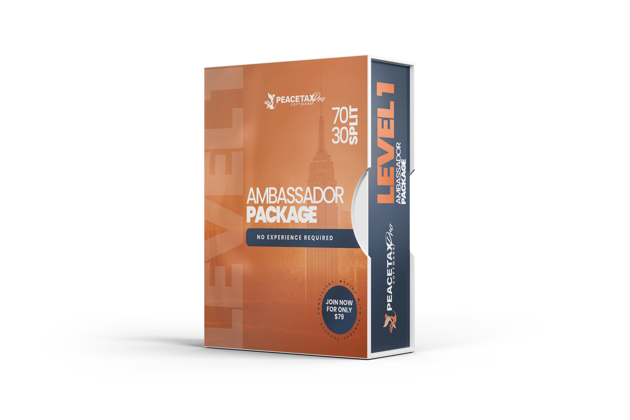 level 1 software package box