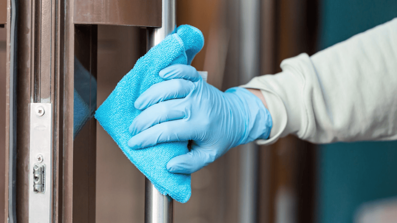 Sanitizing and Disinfecting Services