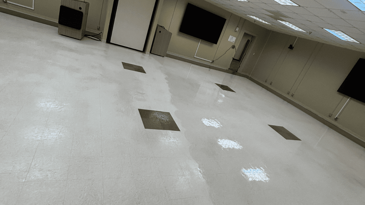 Move-In and Move-Out Cleaning Services