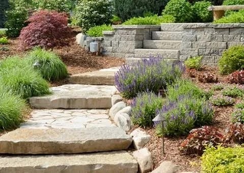 Stone steps and a retaining wall surrounded by garden beds