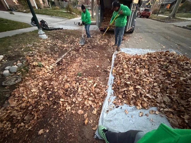 Utah County Leaf Cleanup