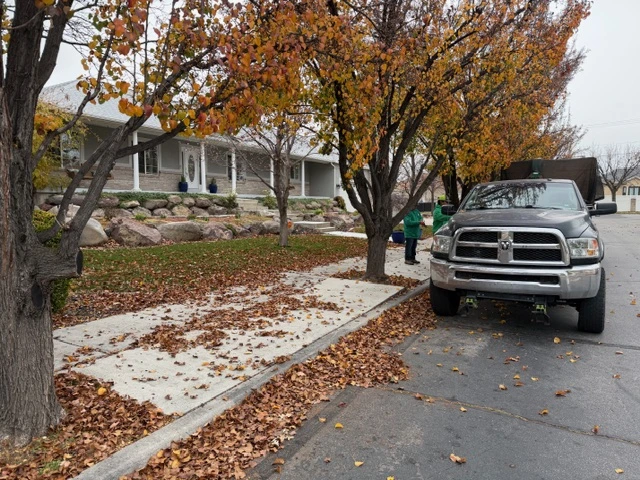 Spring & Fall Cleanups in Salt Lake County