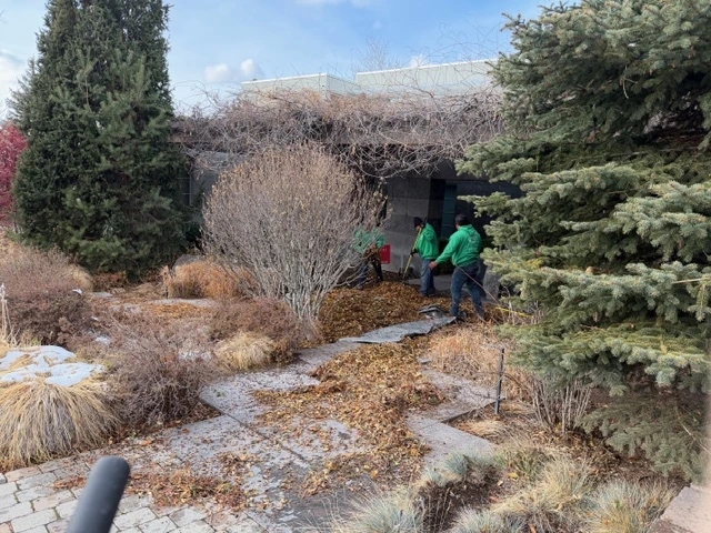 Leaf Cleanup in Salt Lake County