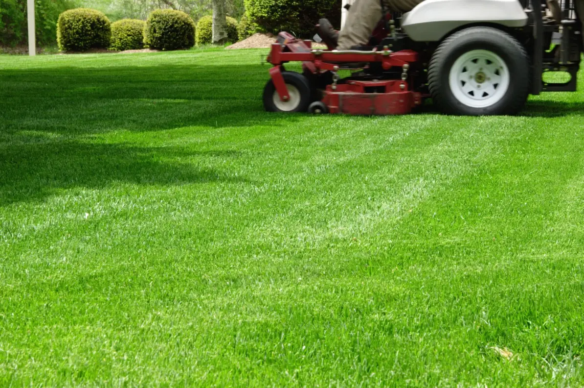 South Jordan Fertilizer & Weed Control