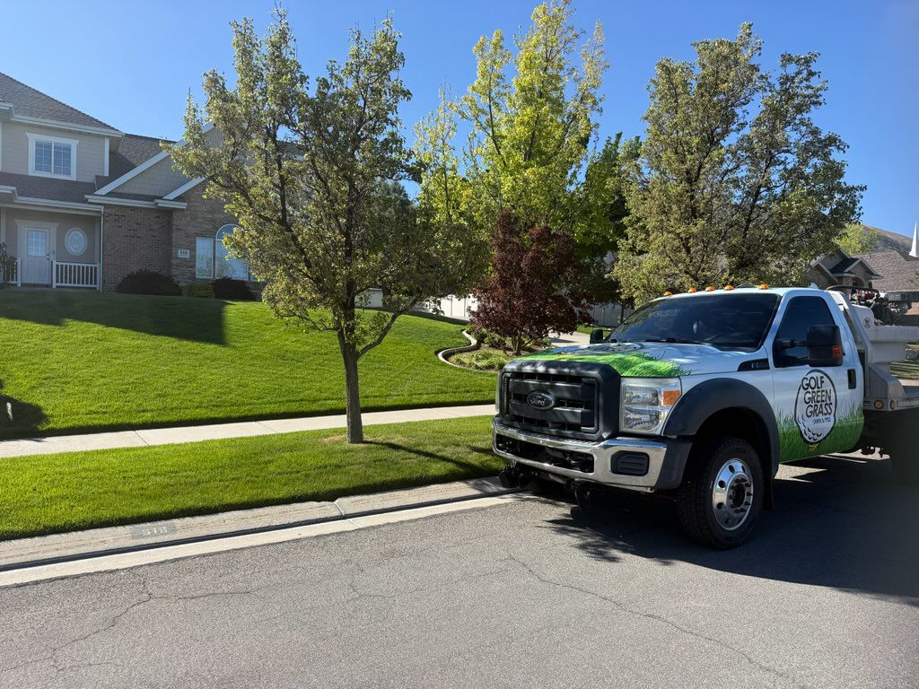 {{ custom_values.service_1 }} in {{custom_values.biz_area_1})