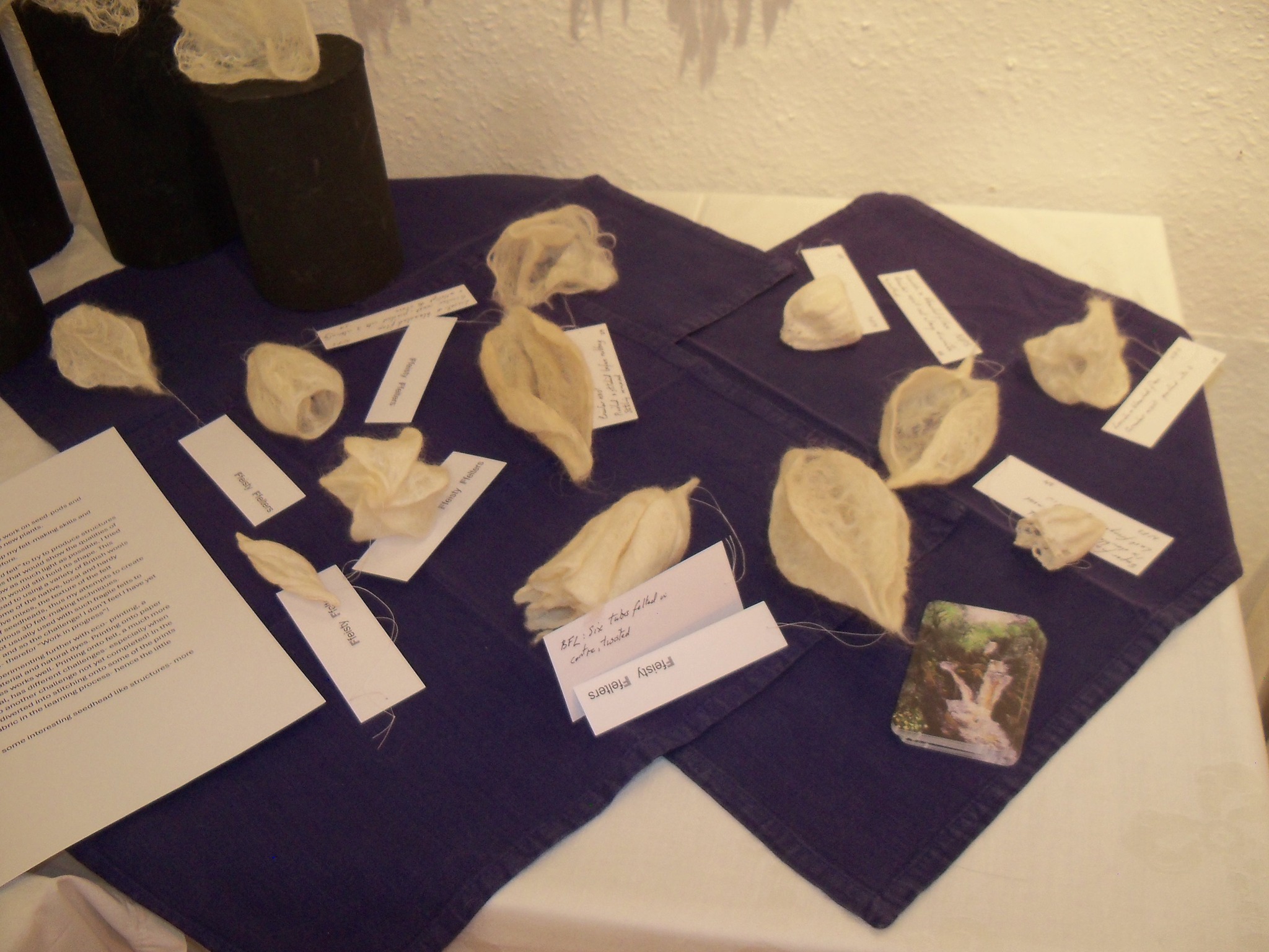 Susan Mulcock delicate seed pods